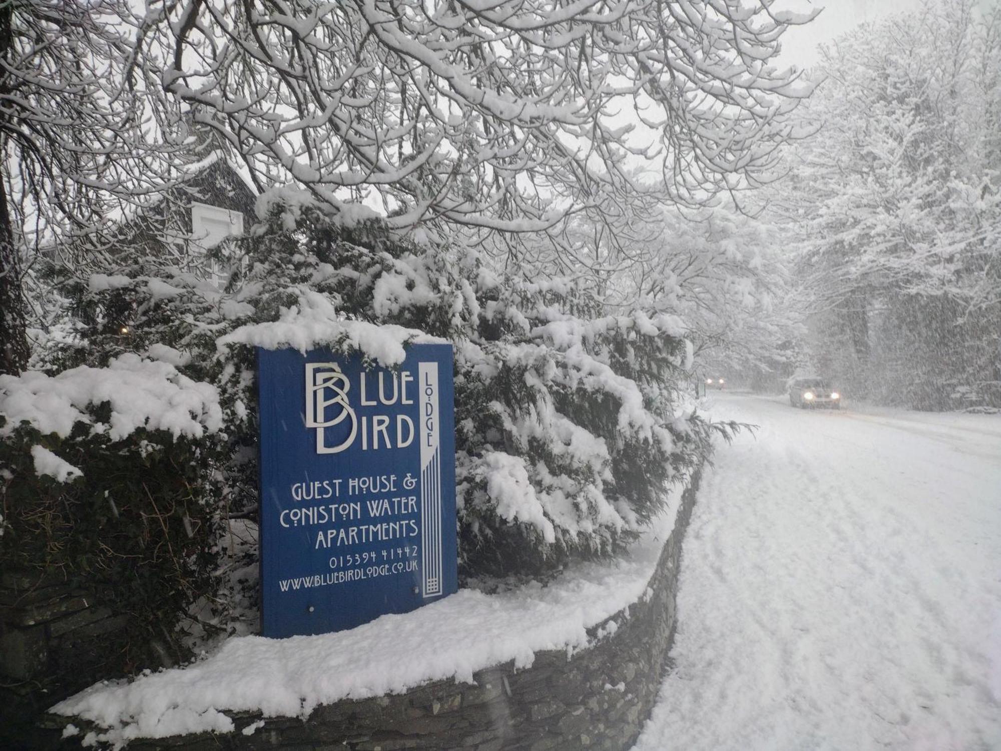 Bluebird Lodge Coniston Exterior photo